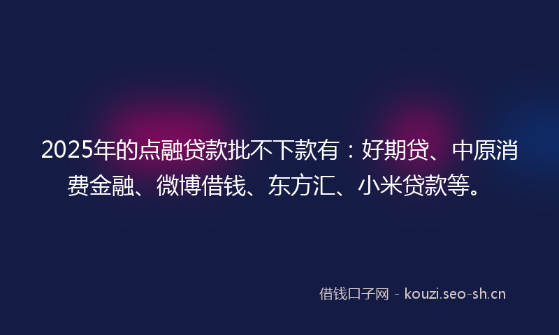 2025年的点融贷款批不下款有：好期贷、中原消费金融、微博借钱、东方汇、小米贷款等。