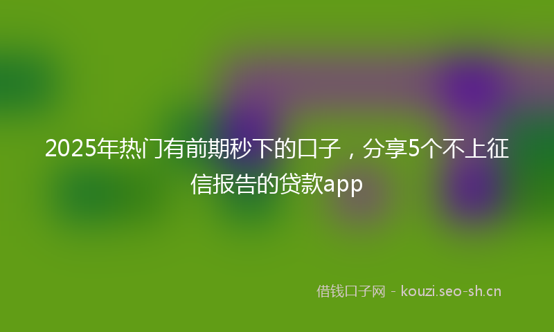 2025年热门有前期秒下的口子，分享5个不上征信报告的贷款app