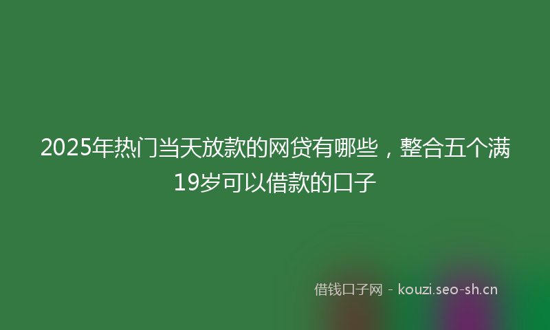 2025年热门当天放款的网贷有哪些，整合五个满19岁可以借款的口子