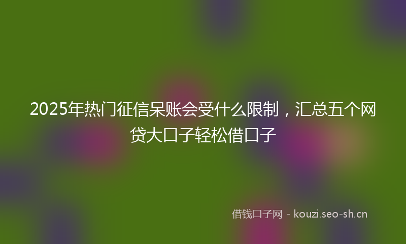 2025年热门征信呆账会受什么限制，汇总五个网贷大口子轻松借口子