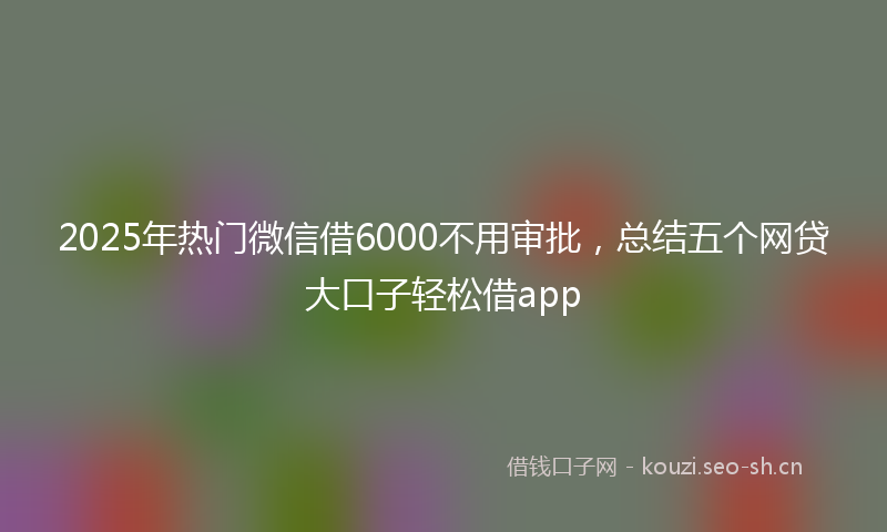2025年热门微信借6000不用审批，总结五个网贷大口子轻松借app