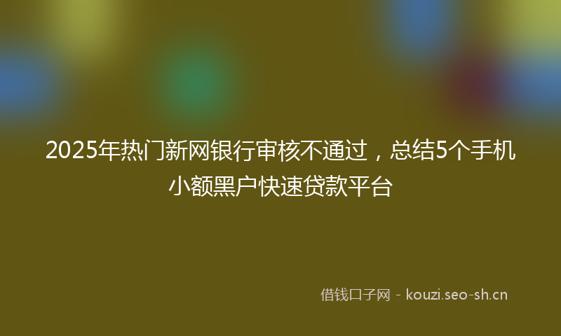 2025年热门新网银行审核不通过，总结5个手机小额黑户快速贷款平台