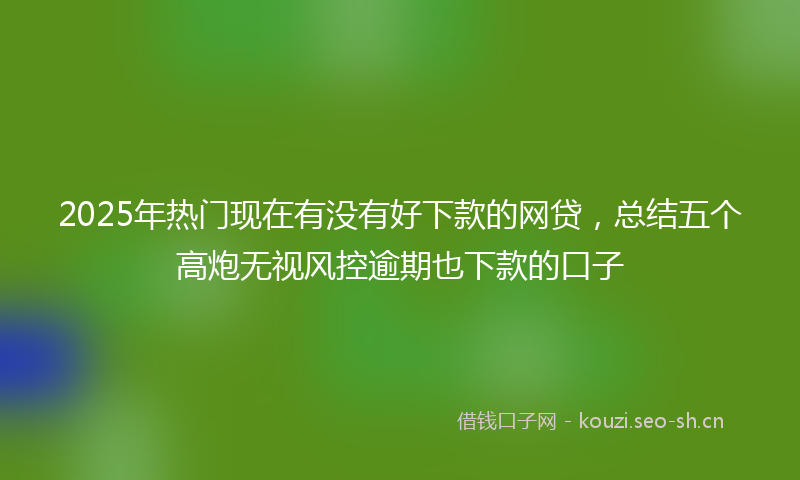 2025年热门现在有没有好下款的网贷,总结五个高炮无视风控逾期也下款的口子