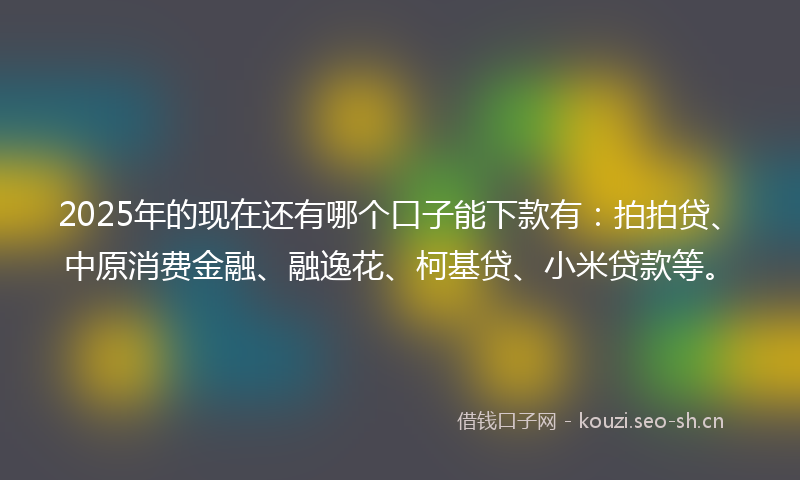 2025年的现在还有哪个口子能下款有：拍拍贷、中原消费金融、融逸花、柯基贷、小米贷款等。