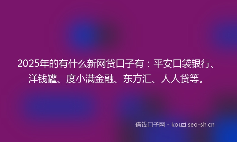 2025年的有什么新网贷口子有：平安口袋银行、洋钱罐、度小满金融、东方汇、人人贷等。