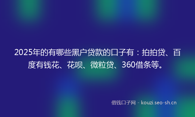 2025年的有哪些黑户贷款的口子有：拍拍贷、百度有钱花、花呗、微粒贷、360借条等。
