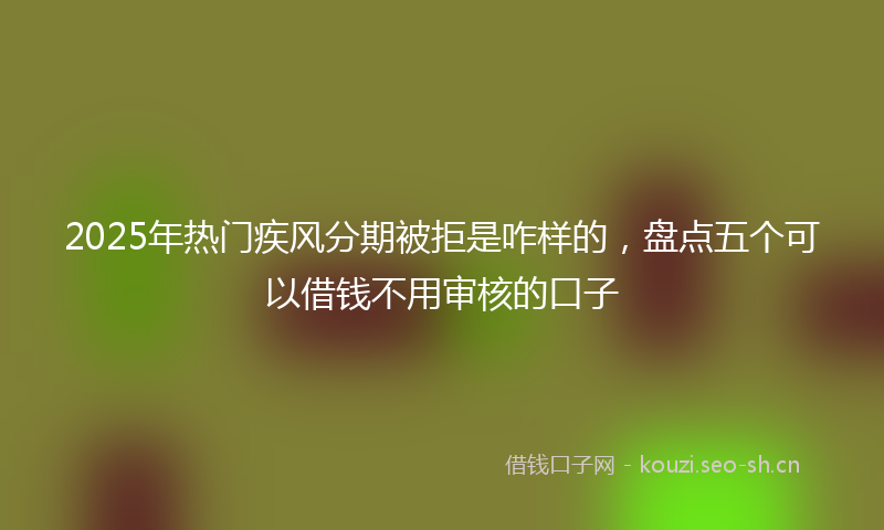 2025年热门疾风分期被拒是咋样的，盘点五个可以借钱不用审核的口子