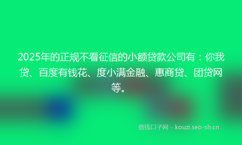 2025年的正规不看征信的小额贷款公司有：你我贷、百度有钱花、度小满金融、惠商贷、团贷网等。