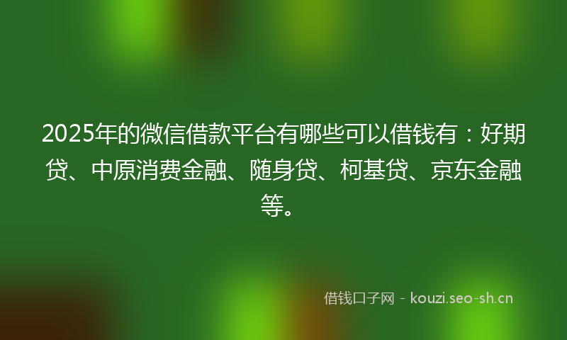 2025年的微信借款平台有哪些可以借钱有：好期贷、中原消费金融、随身贷、柯基贷、京东金融等。