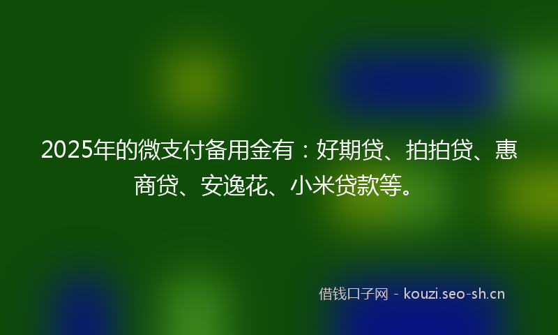 2025年的微支付备用金有：好期贷、拍拍贷、惠商贷、安逸花、小米贷款等。