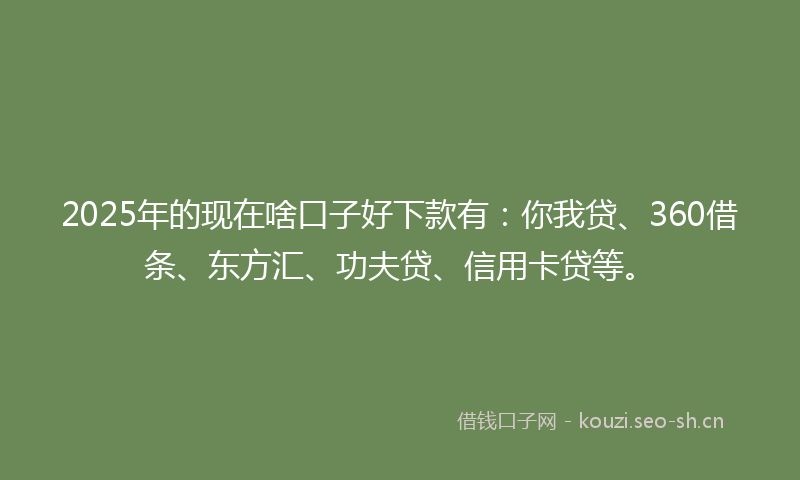 2025年的现在啥口子好下款有：你我贷、360借条、东方汇、功夫贷、信用卡贷等。