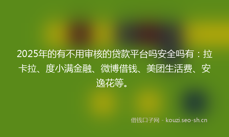 2025年的有不用审核的贷款平台吗安全吗有：拉卡拉、度小满金融、微博借钱、美团生活费、安逸花等。
