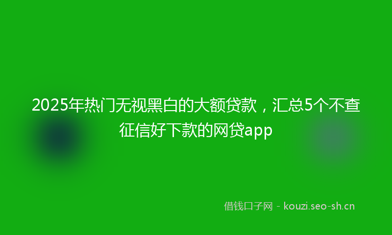 2025年热门无视黑白的大额贷款，汇总5个不查征信好下款的网贷app