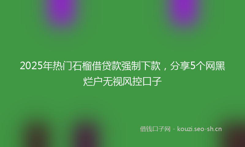 2025年热门石榴借贷款强制下款，分享5个网黑烂户无视风控口子