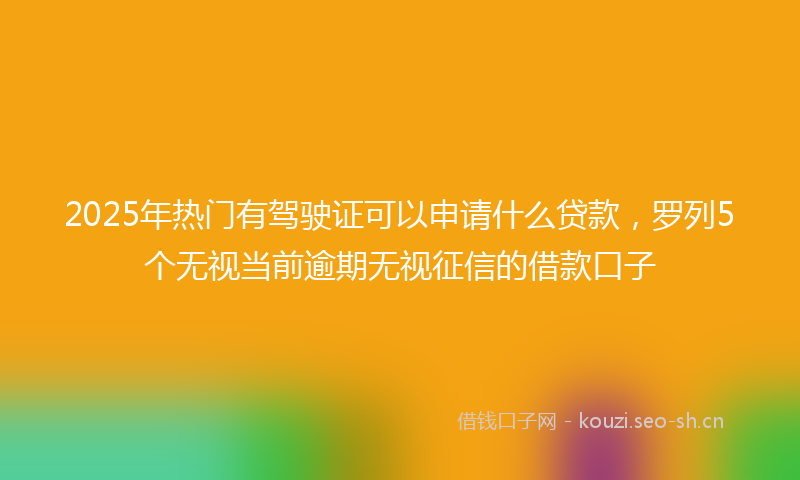 2025年热门有驾驶证可以申请什么贷款，罗列5个无视当前逾期无视征信的借款口子