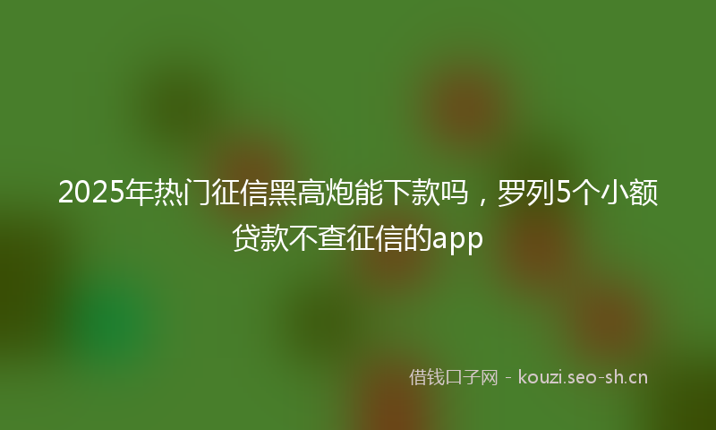 2025年热门征信黑高炮能下款吗,罗列5个小额贷款不查征信的app