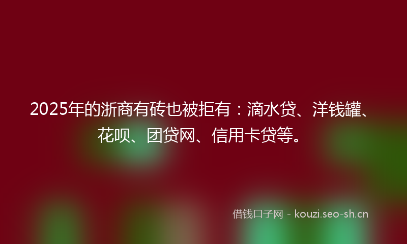 2025年的浙商有砖也被拒有：滴水贷、洋钱罐、花呗、团贷网、信用卡贷等。