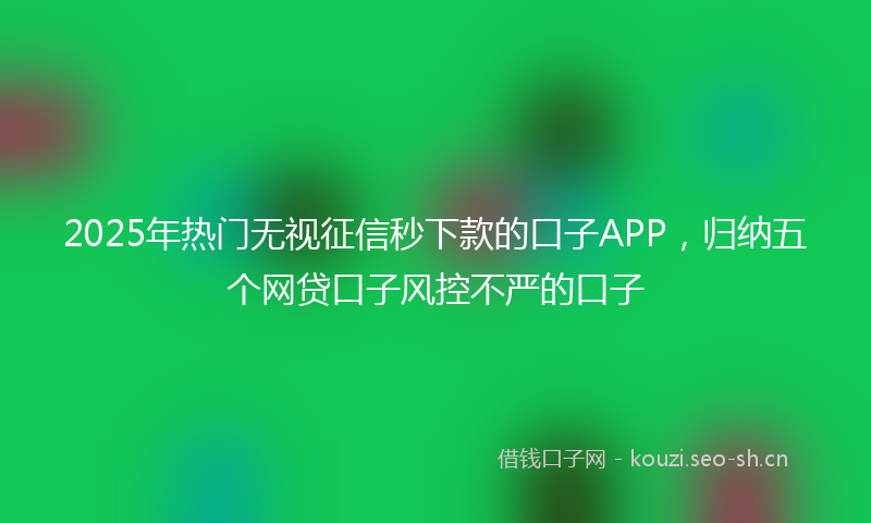 2025年热门无视征信秒下款的口子APP,归纳五个网贷口子风控不严的口子