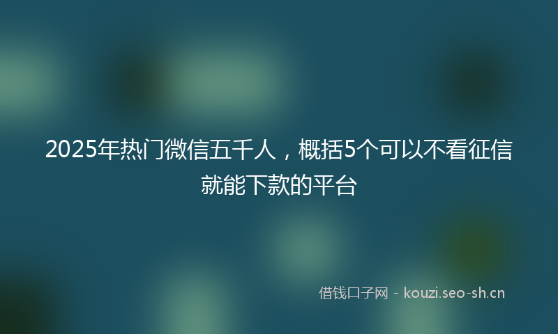 2025年热门微信五千人，概括5个可以不看征信就能下款的平台