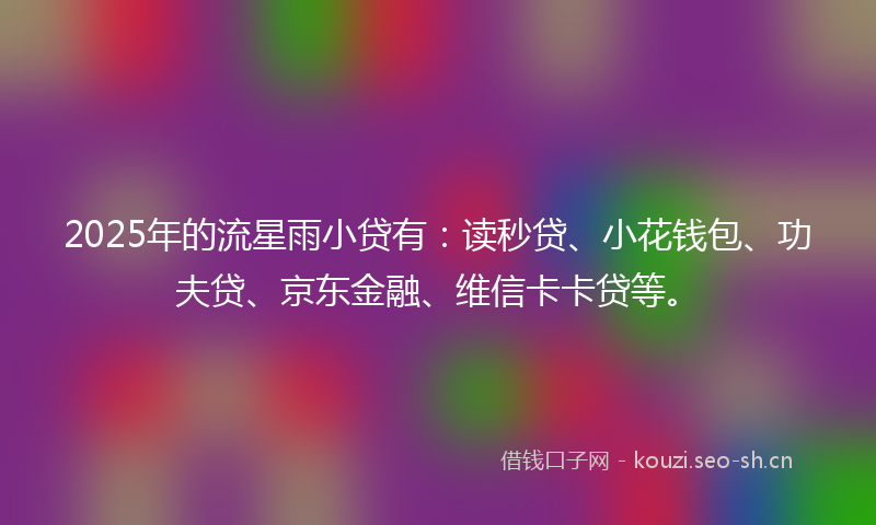 2025年的流星雨小贷有：读秒贷、小花钱包、功夫贷、京东金融、维信卡卡贷等。