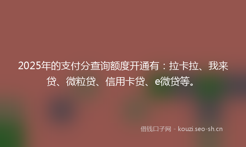 2025年的支付分查询额度开通有:拉卡拉、我来贷、微粒贷、信用卡贷、e微贷等。