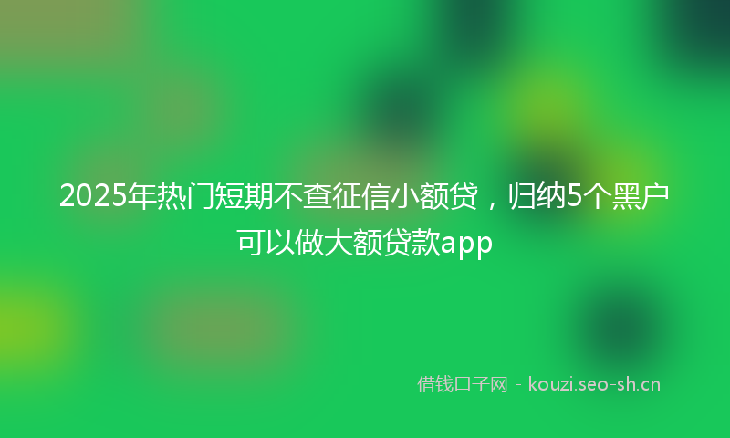 2025年热门短期不查征信小额贷，归纳5个黑户可以做大额贷款app