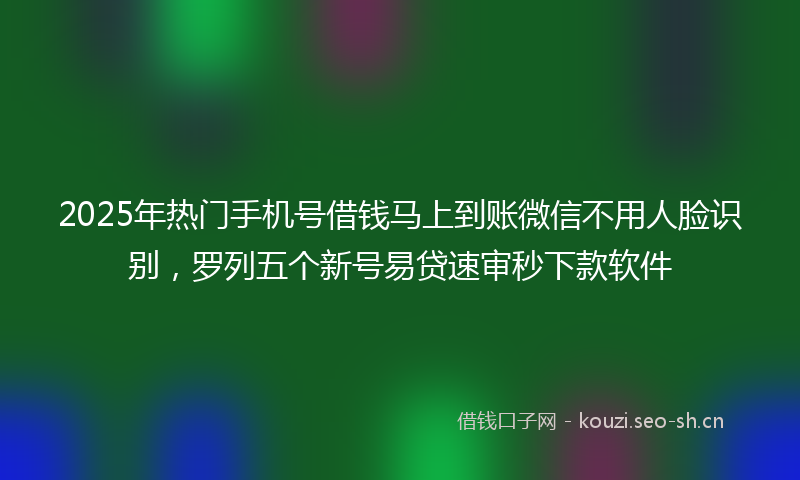 2025年热门手机号借钱马上到账微信不用人脸识别，罗列五个新号易贷速审秒下款软件