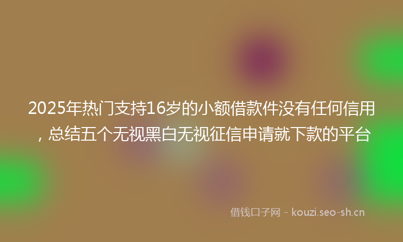 2025年热门支持16岁的小额借款件没有任何信用，总结五个无视黑白无视征信申请就下款的平台