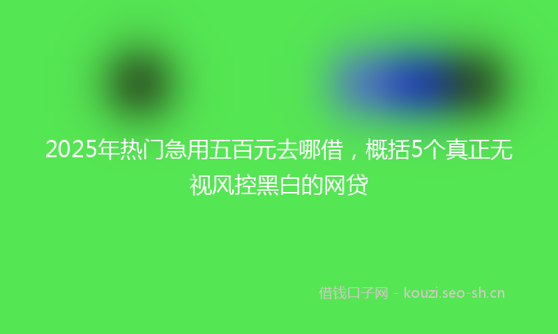 2025年热门急用五百元去哪借,概括5个真正无视风控黑白的网贷