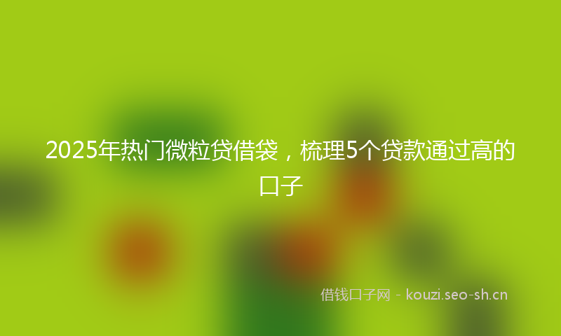 2025年热门微粒贷借袋，梳理5个贷款通过高的口子