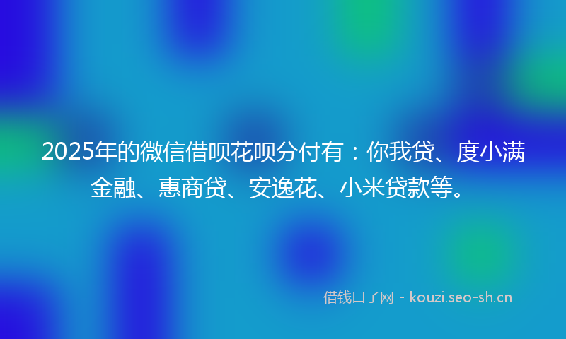 2025年的微信借呗花呗分付有：你我贷、度小满金融、惠商贷、安逸花、小米贷款等。