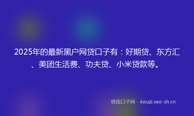 2025年的最新黑户网贷口子有：好期贷、东方汇、美团生活费、功夫贷、小米贷款等。