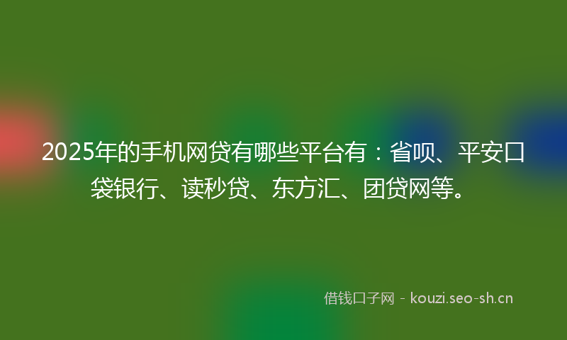 2025年的手机网贷有哪些平台有：省呗、平安口袋银行、读秒贷、东方汇、团贷网等。