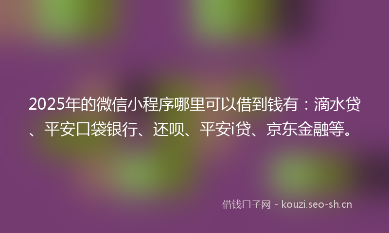 2025年的微信小程序哪里可以借到钱有：滴水贷、平安口袋银行、还呗、平安i贷、京东金融等。