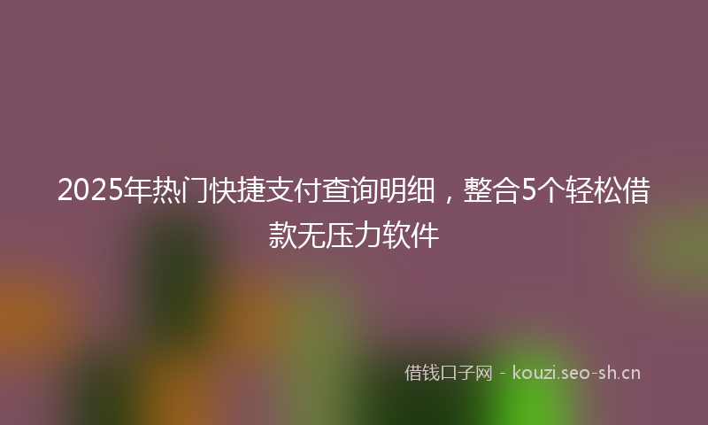 2025年热门快捷支付查询明细，整合5个轻松借款无压力软件