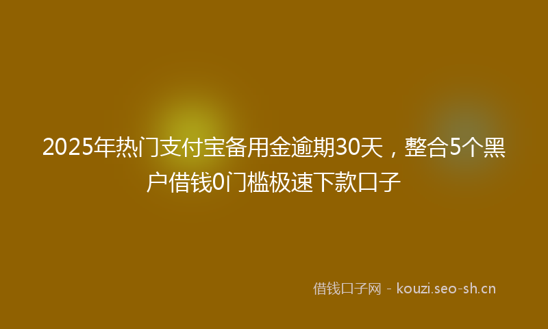 2025年热门支付宝备用金逾期30天,整合5个黑户借钱0门槛极速下款口子