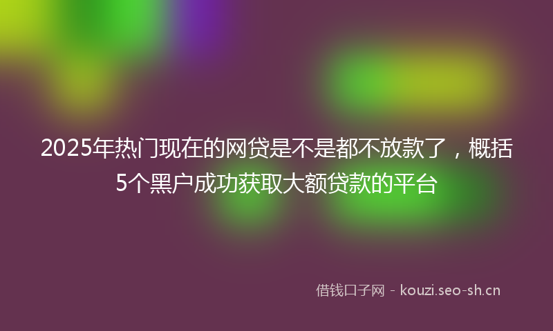 2025年热门现在的网贷是不是都不放款了，概括5个黑户成功获取大额贷款的平台