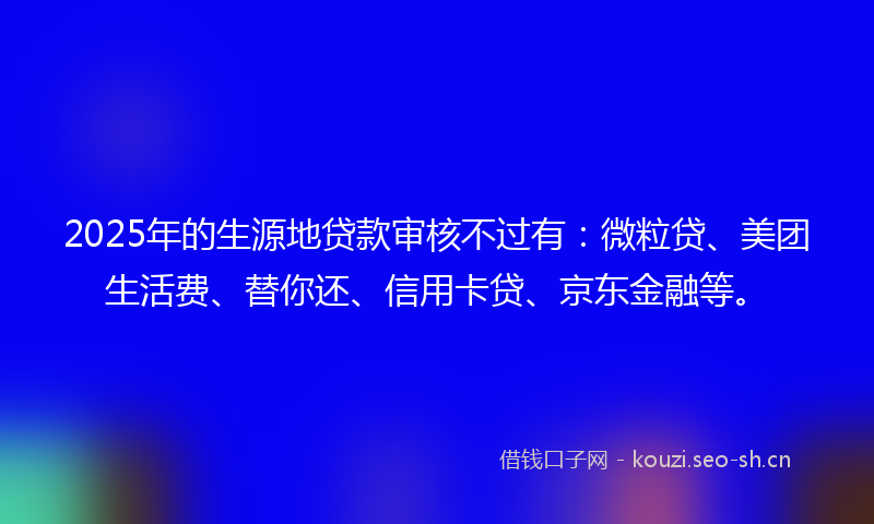 2025年的生源地贷款审核不过有：微粒贷、美团生活费、替你还、信用卡贷、京东金融等。