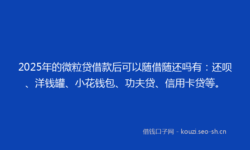 2025年的微粒贷借款后可以随借随还吗有:还呗、洋钱罐、小花钱包、功夫贷、信用卡贷等。