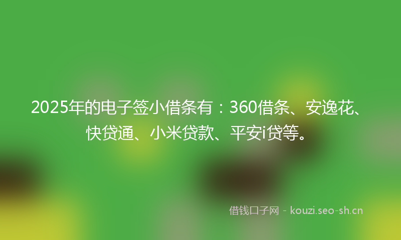 2025年的电子签小借条有：360借条、安逸花、快贷通、小米贷款、平安i贷等。