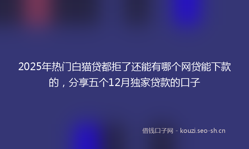 2025年热门白猫贷都拒了还能有哪个网贷能下款的，分享五个12月独家贷款的口子