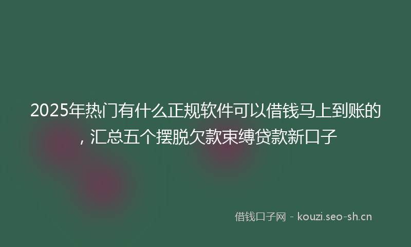 2025年热门有什么正规软件可以借钱马上到账的，汇总五个摆脱欠款束缚贷款新口子