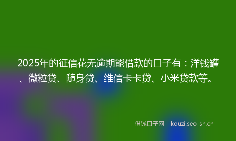 2025年的征信花无逾期能借款的口子有：洋钱罐、微粒贷、随身贷、维信卡卡贷、小米贷款等。