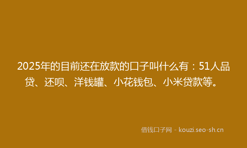 2025年的目前还在放款的口子叫什么有：51人品贷、还呗、洋钱罐、小花钱包、小米贷款等。