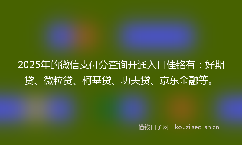 2025年的微信支付分查询开通入口佳铭有：好期贷、微粒贷、柯基贷、功夫贷、京东金融等。