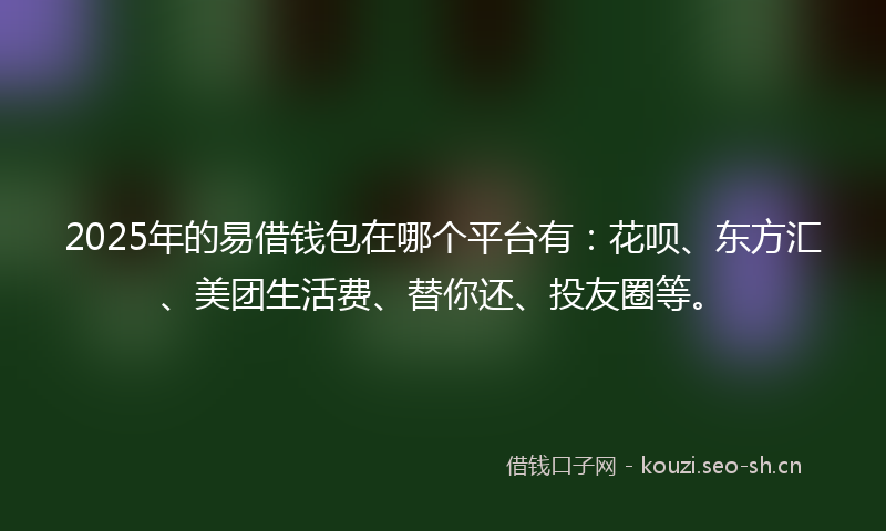 2025年的易借钱包在哪个平台有：花呗、东方汇、美团生活费、替你还、投友圈等。
