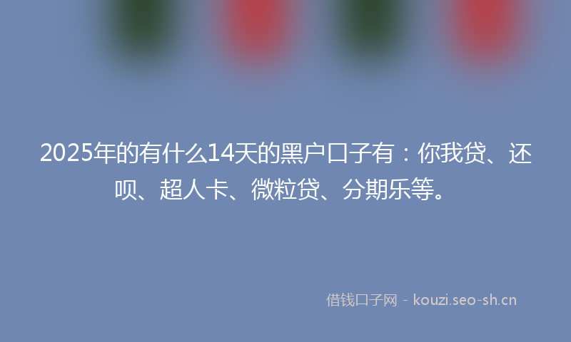 2025年的有什么14天的黑户口子有：你我贷、还呗、超人卡、微粒贷、分期乐等。