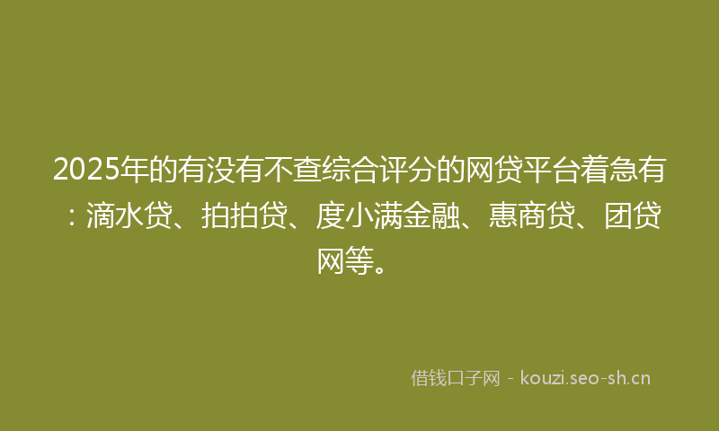 2025年的有没有不查综合评分的网贷平台着急有：滴水贷、拍拍贷、度小满金融、惠商贷、团贷网等。