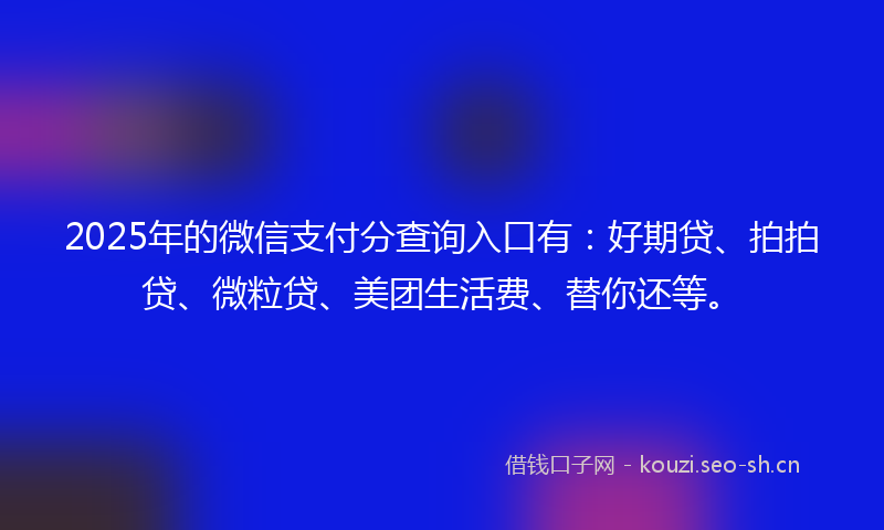 2025年的微信支付分查询入口有：好期贷、拍拍贷、微粒贷、美团生活费、替你还等。