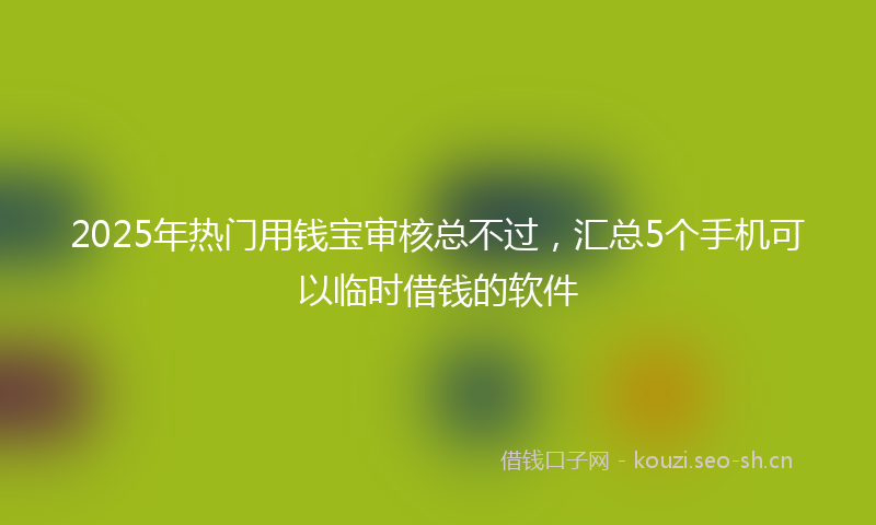 2025年热门用钱宝审核总不过，汇总5个手机可以临时借钱的软件